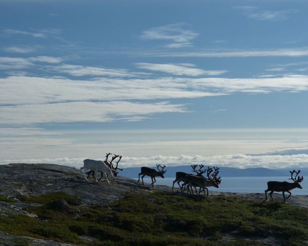 Noorwegen-foto's 570.000 kilometer