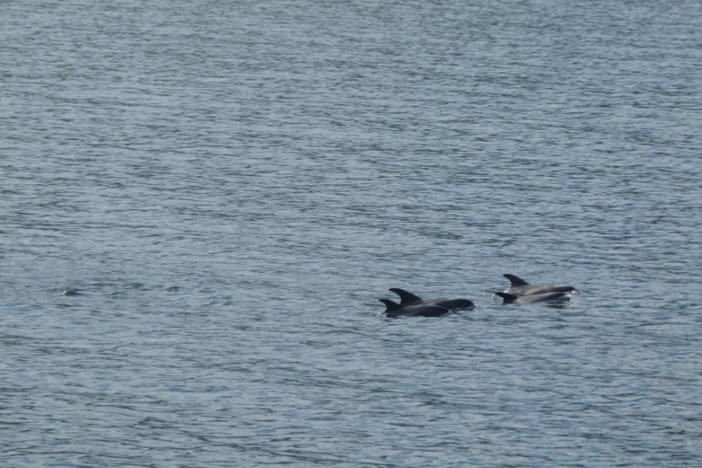 Noorwegen-foto's 570.000 kilometer