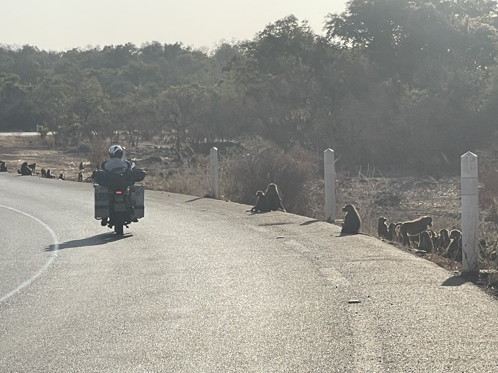 Senegal-foto's 640.000 kilometer