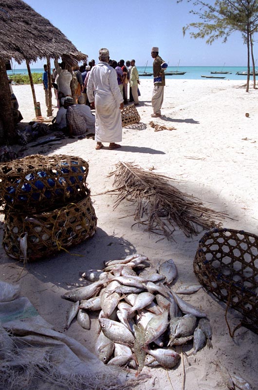 Zanzibar